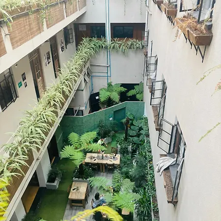 Roma Norte Hostal
